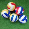 Professional Indoor Match Volleyball