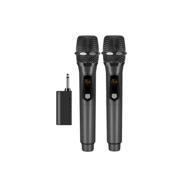2.4G Dynamic Performance Wireless Microphone set with dual handheld mics and receiver for clear audio recording.