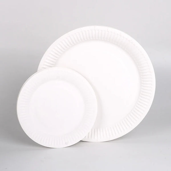 Disposable White Round Paper Plates 230mm 20 Pack