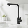 Matte Black Single Handle Kitchen Sink Faucet on modern countertop with minimalist design elements.