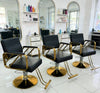 Professional Salon Hydraulic Styling Chair in a modern salon setup with mirrors and styling products.