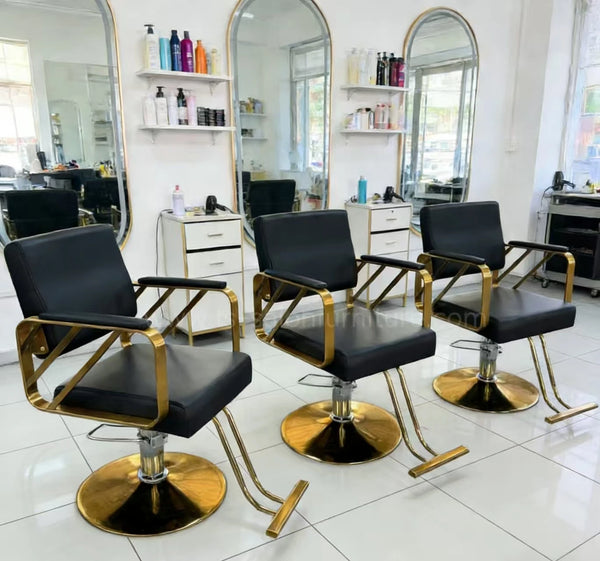 Professional Salon Hydraulic Styling Chair in a modern salon setup with mirrors and styling products.