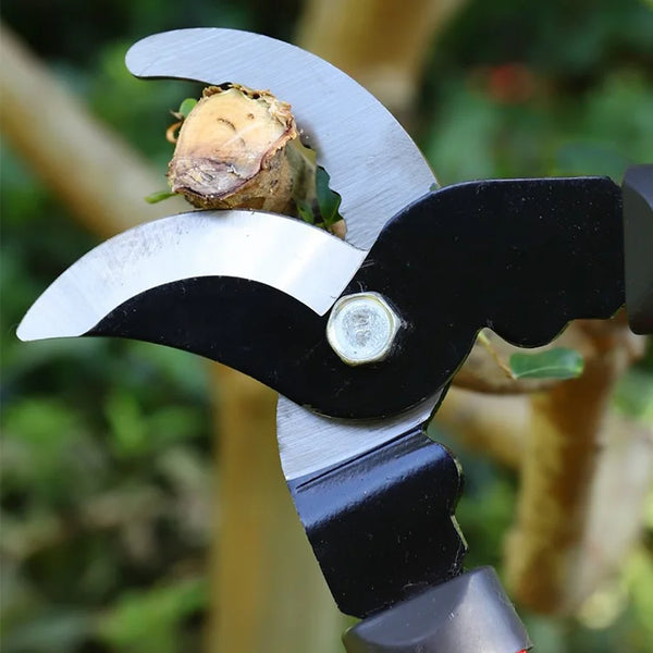Close-up of the Heavy-Duty Garden Pruning and Lopper Kit cutting a rose bush stem.