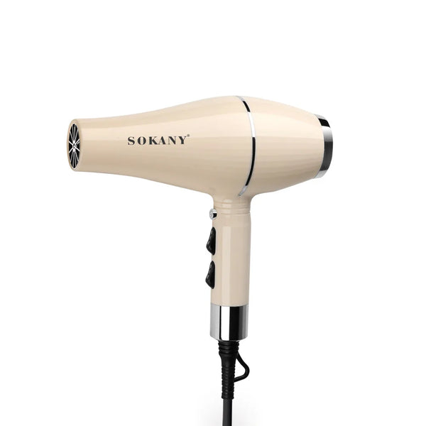 2000W Automatic Thermostat Salon Hair Dryer