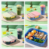 4-Compartment Bento Lunch Box and Bottle