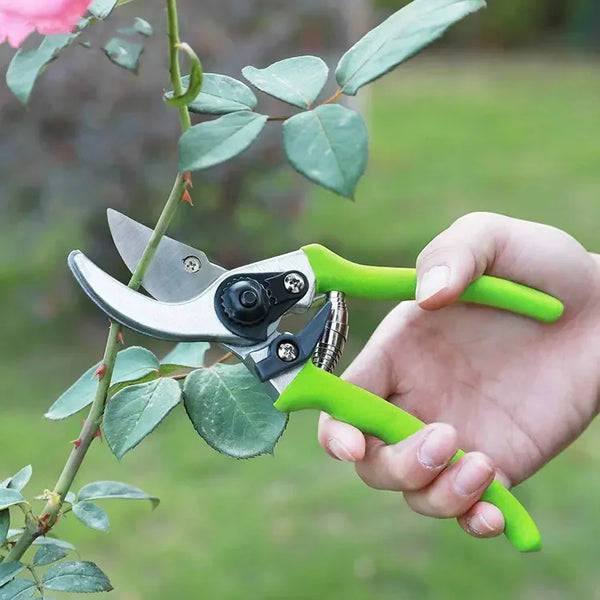 Hand holding a pruner from the Heavy-Duty Garden Pruning and Lopper Kit, cutting a rose stem.