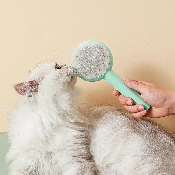 Flower Design Pet Hair Remover Comb