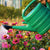 10L Large Capacity Garden Watering Can