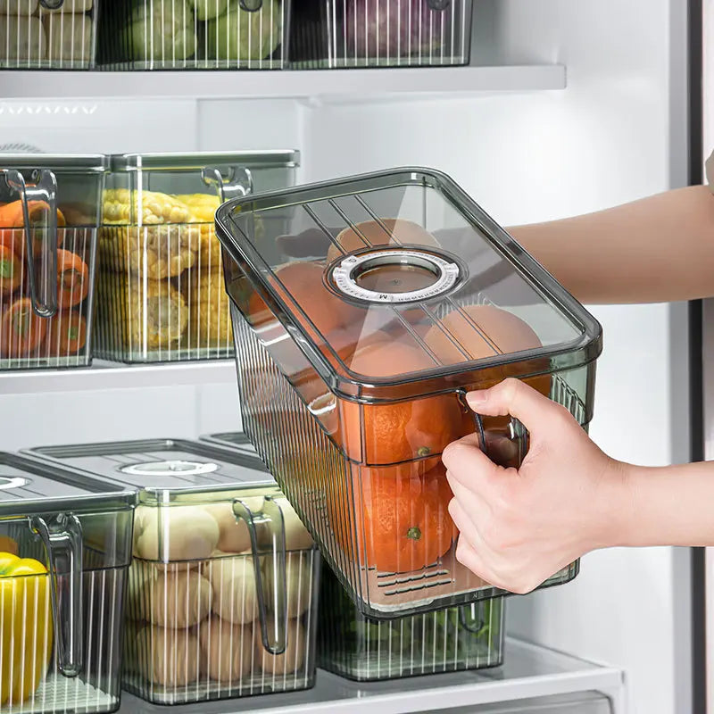 Fresh-Keep Refrigerator Storage Box Clear Organizer – Perfect Dealz