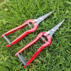 Garden Pruning Shears Stainless Steel 20cm on grass, ideal for precise garden maintenance and cutting.