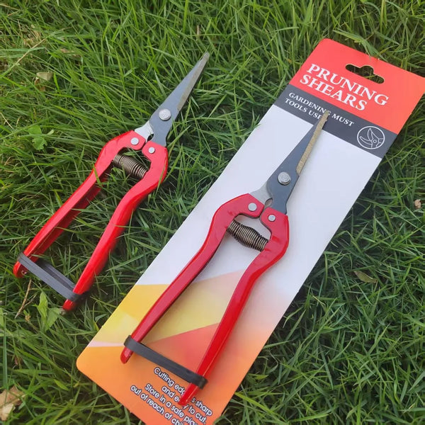 Garden Pruning Shears Stainless Steel 20cm displayed on grass with packaging, ideal for precise garden maintenance.