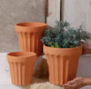 Wide Edge Striped Garden Style Magnesia Plant Pot