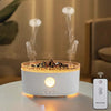 300ML Aroma Oil Diffuser & Humidifier