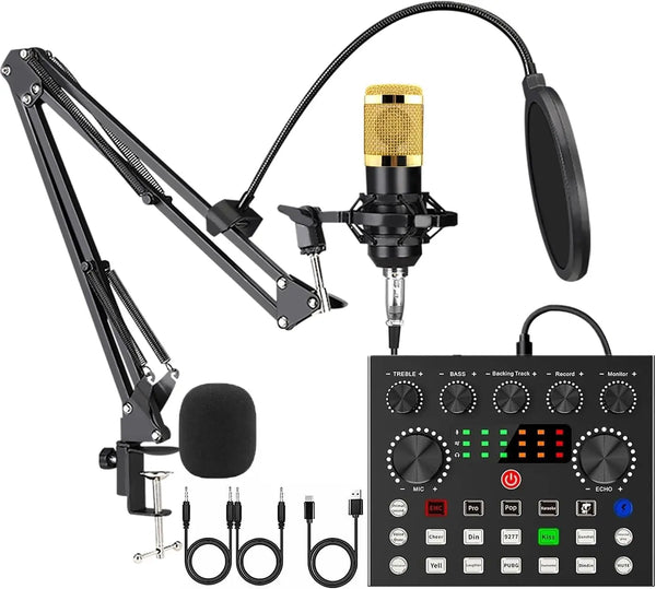 Portable Professional Audio Mixer and Microphone Set