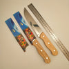 Stainless Steel Japanese Style Fruit Knife and two blade guards displayed with a ruler for size reference.