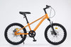 Steel 21 Speed Mountain Bike