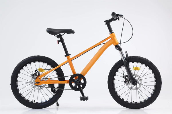 Steel 21 Speed Mountain Bike