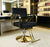 Professional Salon Hydraulic Styling Chair in modern salon setting with sleek design and hydraulic base.
