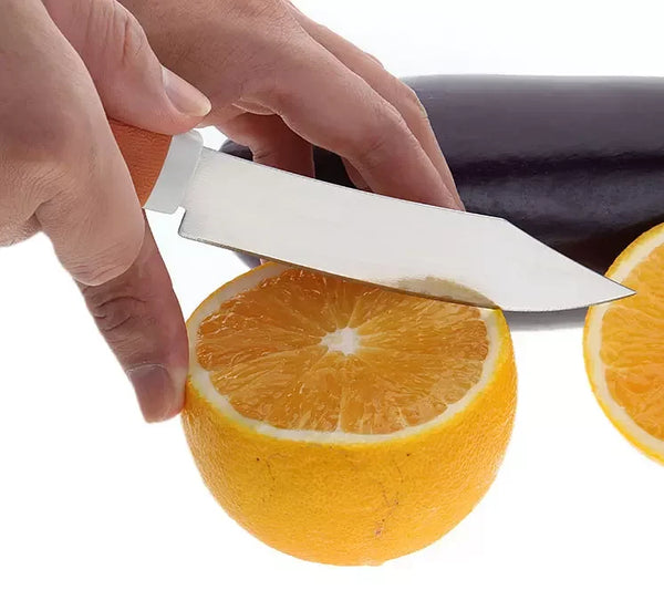 Stainless Steel Home Kitchen Fruit Knife
