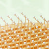Self-Cleaning Pet Grooming Comb