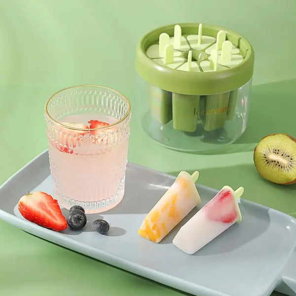 8 Compartment Homemade Ice Cream Mold