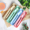 Portable Cutlery and Straw Travel Set – 4-Colour Storage Box