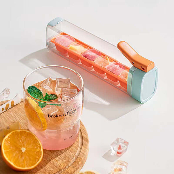 Reusable Ice Lolly and Summer Drink Mold Set