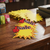 Pack of 10 Blank Star Price Tag Promotional Stickers