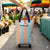 Foldable Shopping Trolley Bag with Wheels carrying groceries at a vibrant market.