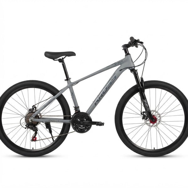 21-Speed Adult Mountain Bike