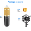 Perfect Dealz Professional Condenser Microphone