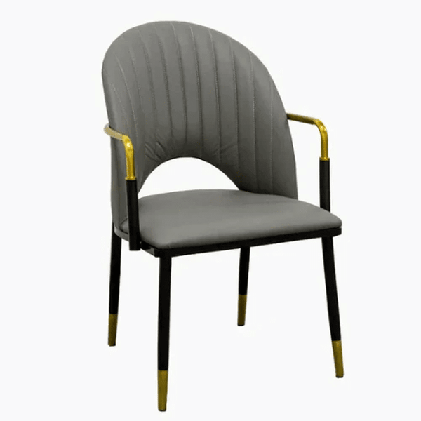 Perfect Dealz Modern Design Dining Chair