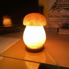 Perfect Dealz Mushroom Crystal Salt Bedside Lamp