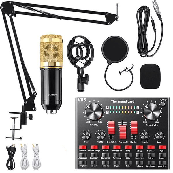Perfect Dealz Professional Condenser Microphone
