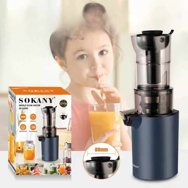 Perfect Dealz Electric Slow Press Juicer