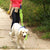 Reflective Dog Leash Set image 0