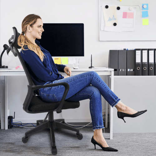 Perfect Dealz Adjustable Height Mesh Ergo Office Chair with Headrest