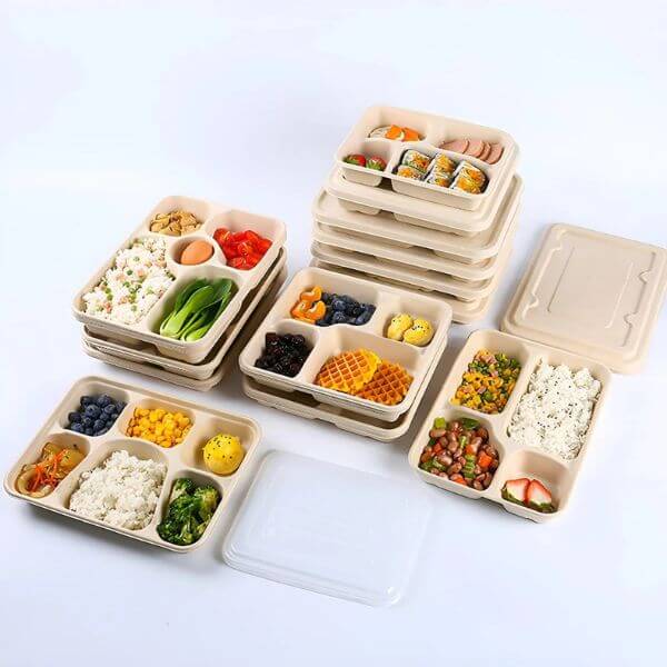 5 Compartment Disposable Lunch Box image 0
