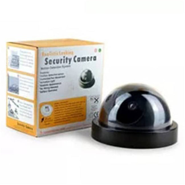 LED Indoor Outdoor Surveillance Dummy IR Camera image 0