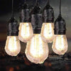 15 LED Bulb String Lights - 10m image 0
