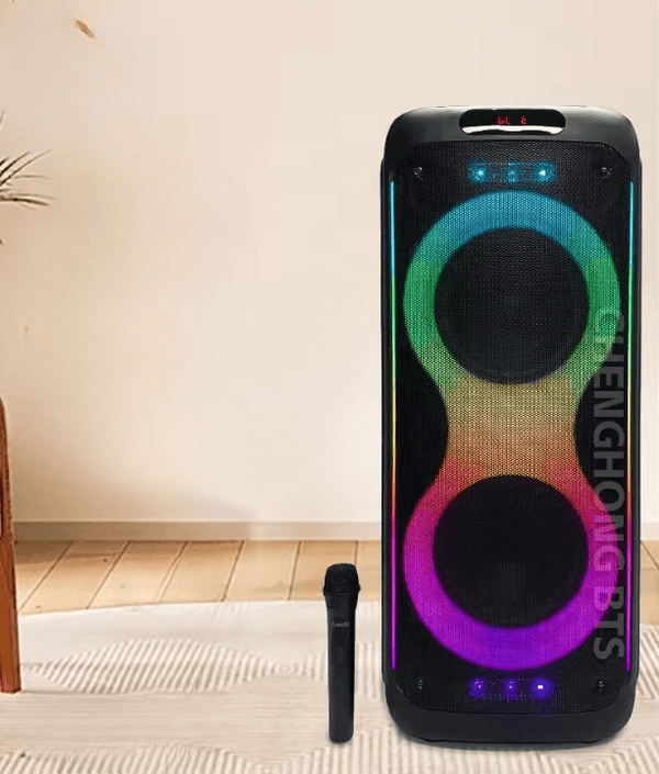 Portable RGB Colourful Lights 10 inch Wireless Speaker image 0
