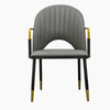Perfect Dealz Modern Design Dining Chair