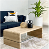 High Gloss Coffee Table with Glass Shelf in modern living room setting with plant and decorative items.