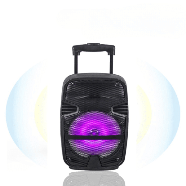 Perfect Dealz 12 Inch Portable DJ Speaker with Mic and Remote