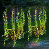 4-Piece Garden Solar Lights illuminating a garden with vibrant greenery and colorful accents at night.