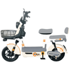 48V Adventure Electric Bike with stylish design and basket, ideal for urban commuting and weekend adventures.