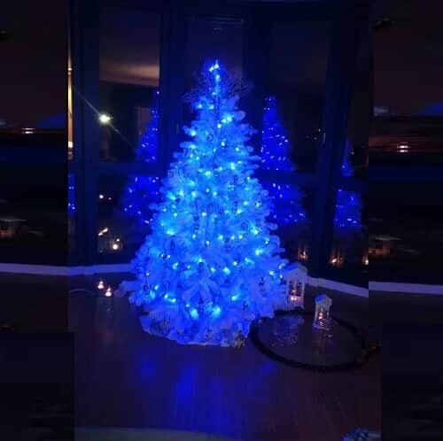 100 LED Decorative Lights image 0