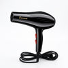 Professional 2400W Hair Dryer