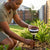 Solar Outdoor Decorative Garden Wall Lamp