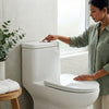 Modern Ceramic One-Piece Toilet Unit in a stylish bathroom with a woman using it.